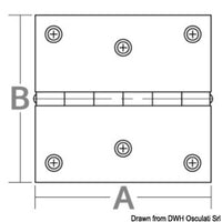 Mirror polished SS rectangular hinge 60x30 mm