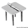 Hinge D 95% AISI316 66x66 mm