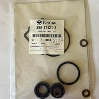 398-87321-3 Lower Unit Gasket Set