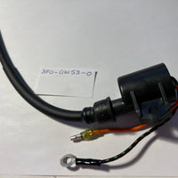 3F0-06049-1 Ignition Coil Assy W/Label (also Supersedes 3F0-06153-0)