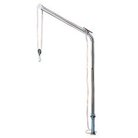 Swivelling davit