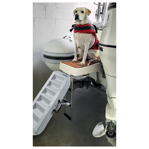 Paws up doggy ramp