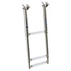 Telescopic ladder for fixing under the gangplank