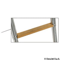 Top Line ladder with slide