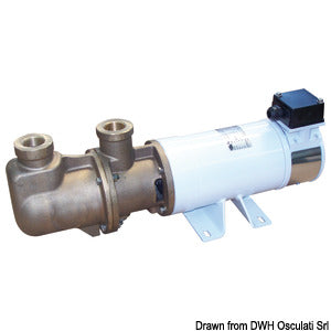 CEM Sbr self-priming electric pump with bronze single screw