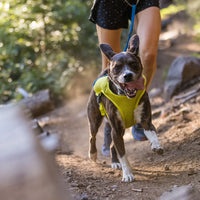 Ruffwear Trail Runner™ Dog Running Vest in Blue Pool (Medium)