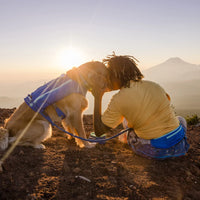 Ruffwear Trail Runner™ Dog Running Vest in Blue Pool (Medium)