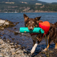 Ruffwear Lunker™ Dog Toy in Campfire Orange (One Size)