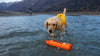 Ruffwear Lunker™ Dog Toy in Campfire Orange (One Size)