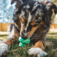 Ruffwear Toadstool™ Dog Toy in Moss Green (One Size)