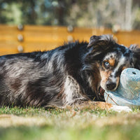 Ruffwear Porcini™ Dog Toy in Moss Green (One Size)