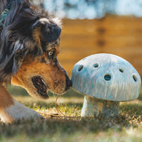 Ruffwear Porcini™ Dog Toy in Moss Green (One Size)