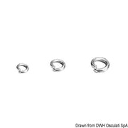 Clamp and SS ring 10 mm