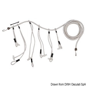 Sail centipede 30 cm 10 mm