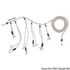Sail centipede 20 cm 8 mm