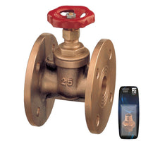 Guidi Flgd Gate Vlv Dn80Pn16