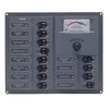 BEP CBrkr Pnl DC 24V 12X Single Pole 3 x 5A 4 x 10A 4 x 15A 1 x 25A W/ Analog VoltMeter & Ammeter