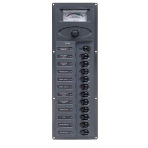 BEP Panel 12SP DC24V  ANA V Vertical