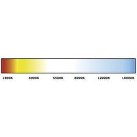 Quick Tab SSR1 LED Courtesy Light in SS (10-30V / Daylight / IP68)