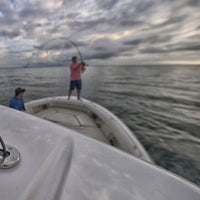 Scanstrut DS-Lp-Multi-S Low Profile Cable Seal - 316 Stainless Steel