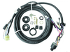 8M0125749 HARNESS ASSEMBLY Key Switch-Choke-Horn (8 foot) - Official Mercury Spares