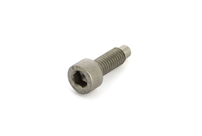 VETUS Lock-screw m5 x 16 s.s.