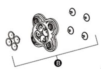 SEAFLO Valve Assembly 42 Series