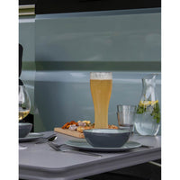 Gimex Linea Line Pilsner Glass (650ml / 2 Pieces)