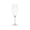 Gimex Royal Line Champagne Glass (250ml / 2 Pieces)