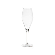 Gimex Royal Line Champagne Glass (250ml / 2 Pieces)