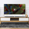 Mitchell and Brown JB-DVD1811 DVD Player