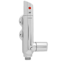 AG Vertical Thermostatic Shower Mixer