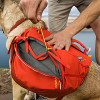 Ruffwear Palisades™ Dog Backpack in Red Sumac (Medium)