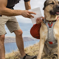 Ruffwear Palisades™ Dog Backpack in Red Sumac (Medium)