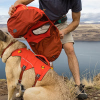 Ruffwear Palisades™ Dog Backpack in Red Sumac (Medium)