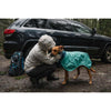 Ruffwear Dirtbag™ Dog Drying Towel Aurora Teal (X Small)