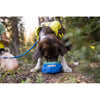 Ruffwear Trail Runner™ Ultralight Dog Bowl in Blue Pool