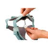 Ruffwear Front Range® Dog Harness in River Rock Green (L / XL)