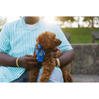 Ruffwear Front Range® Dog Harness in Blue Pool (L / XL)