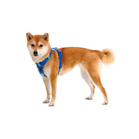 Ruffwear Front Range® Dog Harness - Coastal Mountains Print (L / XL)