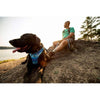 Ruffwear Front Range® Dog Harness - Coastal Mountains Print (L / XL)