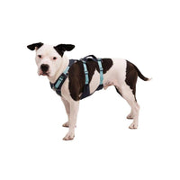 Ruffwear Flagline™ Dog Harness with Handle in Basalt Grey (L / XL)