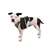 Ruffwear Flagline™ Dog Harness with Handle in Basalt Grey (X Small)