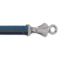 Ruffwear Roamer™ Bungee Dog Running Lead in Orion Blue (2.2 to 3.4m)