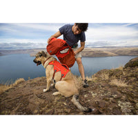 Ruffwear Palisades™ Dog Backpack in Red Sumac (L / XL)