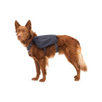 Ruffwear Front Range™ Dog Day Pack in Basalt Grey (Small)