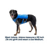 Ruffwear Trail Runner™ Dog Running Vest in Blue Pool (L / XL)