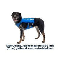 Ruffwear Trail Runner™ Dog Running Vest in Blue Pool (L / XL)