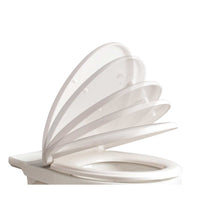 AG Universal Soft Close Top Fix Toilet Seat (White)