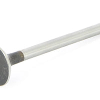 VETUS Valve exhaust m2.04